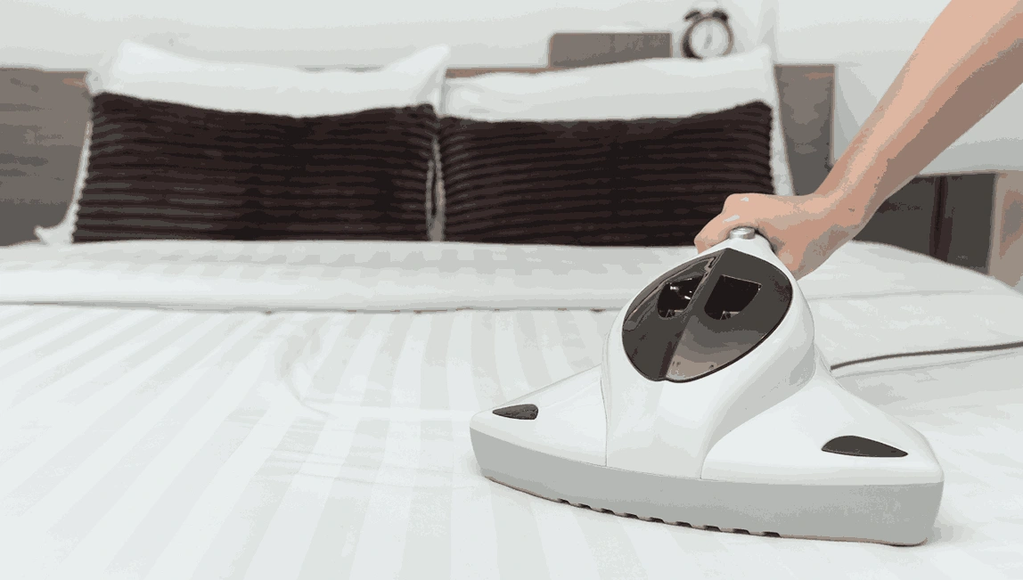 Professional Mattress Cleaning Oak Park